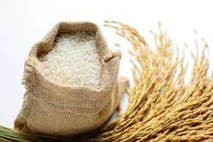 Reis als Kohlenhydratquelle