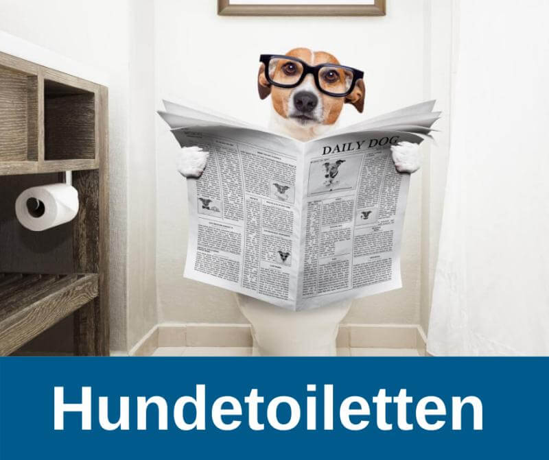 Hundetoiletten